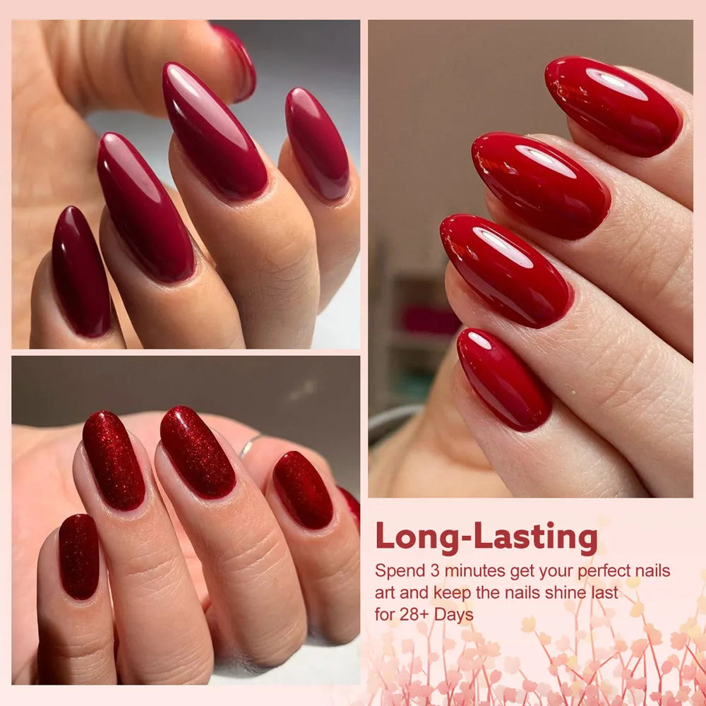 CANNI Hema Free 30pcs Collection - CC5